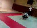 capoeira brasil a romaville