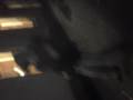 videos de Marco´s dance vor der turnhalle
