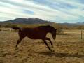videos de Sadler in the Turn Out