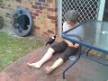 Magpie Mama