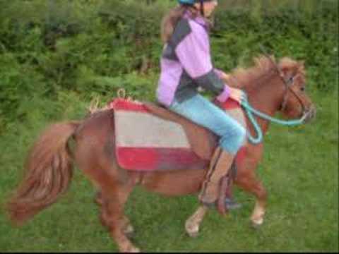 lilly and charlie up churchhill gallops