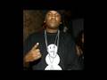 Young Jeezy - Crazy World The Recession (Video!)