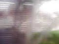 Aguacero desde el Transmilenio