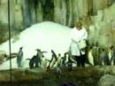 Biodome Montreal