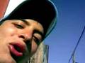 videos de berlineseros