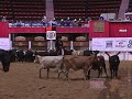 2008 Summer Cutting Amateur Classic/Challenge Champion