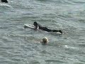 SURF (REMI GAILLARD)