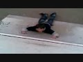 Maxi's Freakout!!! Teil 2