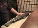 how to cut whole salmon. foodspy.info