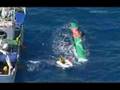Sauvetage du trimaran Groupama 3