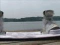 Smith Mountain Lake Wakeboarding Wakeskating Wakesurfing