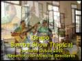 Grupo Samba Show Tropical