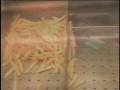 Nutrition.mov