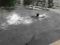 kendricks swim at the fraze