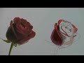 How to draw step ...