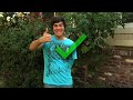 Smosh - Food Battle 2008