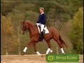 Horse Video (Graceful Horses) Horse Video (Graceful Horses)