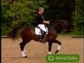 Horse Video (Graceful Horses)