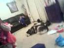 hidden webcam(my lil sis dancing like an idiot) hidden webcam(my lil sis dancing like an idiot)
