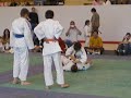 jujitsu demo