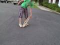 Handflips (NOT FINGERFLIPS) yes therez a difference
