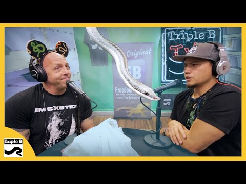 YouTube reptile video
