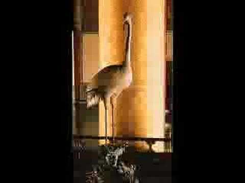 Autumn Meditation by Tu Fu