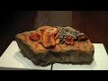 Muestra de CarneSerVida