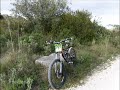 treino treino