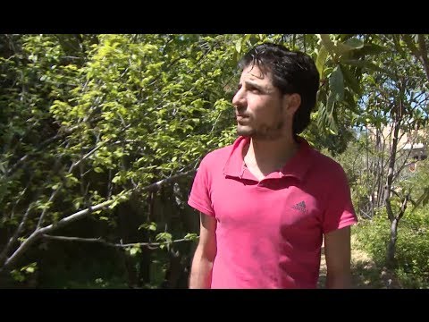 لبنان: يحيى... اللاجيء السوري رقم مليون