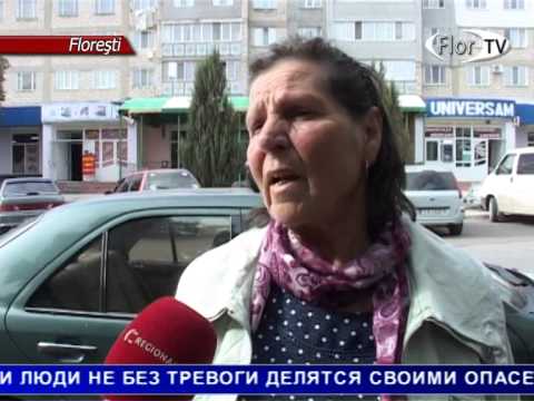 Проблема бродячих собак во Флорештах продолжает оставаться актуальной