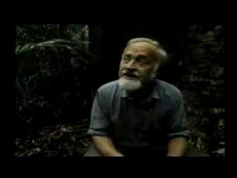 Permaculture Permaculture