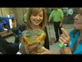 SeaWorld Critters Visit KCRA 3 SeaWorld Critters Visit KCRA 3