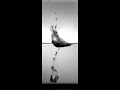 Acrylic Dive