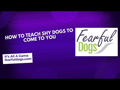 Targeting exercise for scared dogs