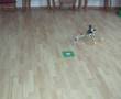Walkera SF60-3/3D SilverFlash +Brushless+Lipo(saver)+CarbonB