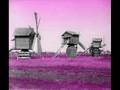 The Glitterhouse - Tinkerbell's mind