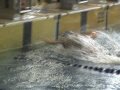 12° trofeo città di desenzano 2008