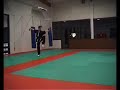 Liam Bates - Chinese martial arts (kungfu)