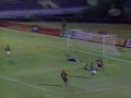 A Morte do Palmeiras