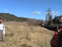 How To Take A Bullet How To Take A Bullet