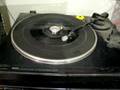 I Will Follow Him-  Little Peggy March