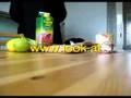 Auspacken (Graz 2008)