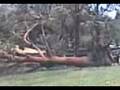 videos de 22112008    