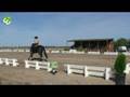 videos de jorge_cameira_santos_ensino 2008