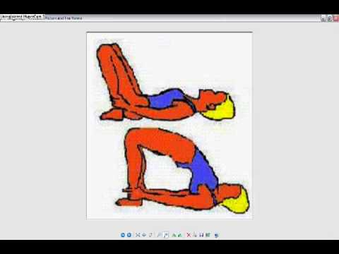 how to grow fat and tall