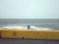 videos de Kawasaki jet ski , Caraquet ,N-B , Canada