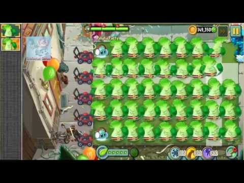 how to plant iceberg lettuce