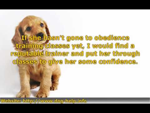 how to cure aggression