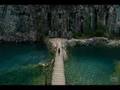  - MovieZen Video